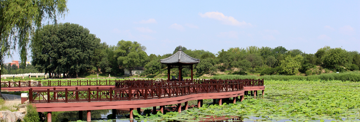 Healing and Travel Retreat in China