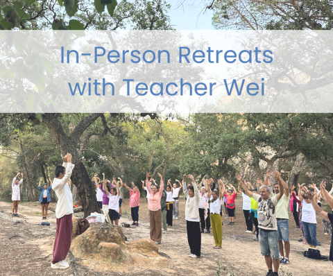 qigong International In-Person Workshops