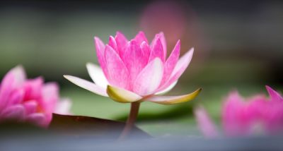 zhinengqigong